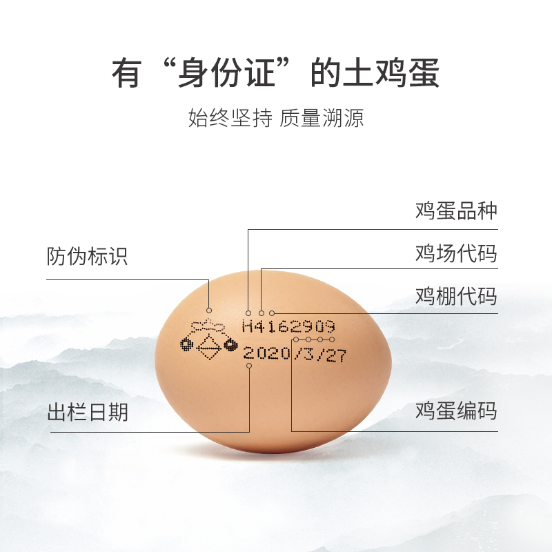 黄壳蛋礼盒（20枚）